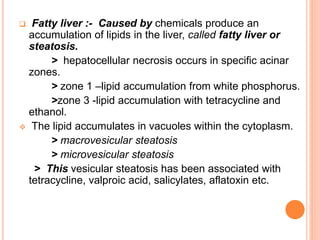  Fatty liver :- Caused by chemicals produce an
accumulation of lipids in the liver, called fatty liver or
steatosis.
> hepatocellular necrosis occurs in specific acinar
zones.
> zone 1 –lipid accumulation from white phosphorus.
>zone 3 -lipid accumulation with tetracycline and
ethanol.
 The lipid accumulates in vacuoles within the cytoplasm.
> macrovesicular steatosis
> microvesicular steatosis
> This vesicular steatosis has been associated with
tetracycline, valproic acid, salicylates, aflatoxin etc.
 