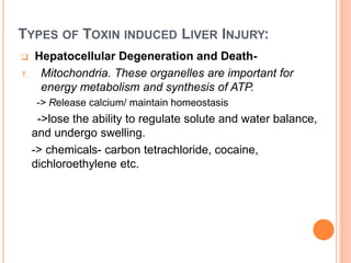TYPES OF TOXIN INDUCED LIVER INJURY:
 Hepatocellular Degeneration and Death-
1. Mitochondria. These organelles are important for
energy metabolism and synthesis of ATP.
-> Release calcium/ maintain homeostasis
->lose the ability to regulate solute and water balance,
and undergo swelling.
-> chemicals- carbon tetrachloride, cocaine,
dichloroethylene etc.
 
