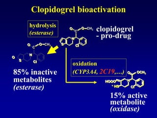 N
S
O
Cl
O CH3
C
O
N
S
O
Cl
O CH3
C
HOOC
* HS
N
O
Cl
OCH3
Clopidogrel bioactivation
85% inactive
metabolites
(esterase)
hydrolysis
(esterase)
oxidation
(CYP3A4, 2C19,…)
clopidogrel
- pro-drug
15% active
metabolite
(oxidase)
 