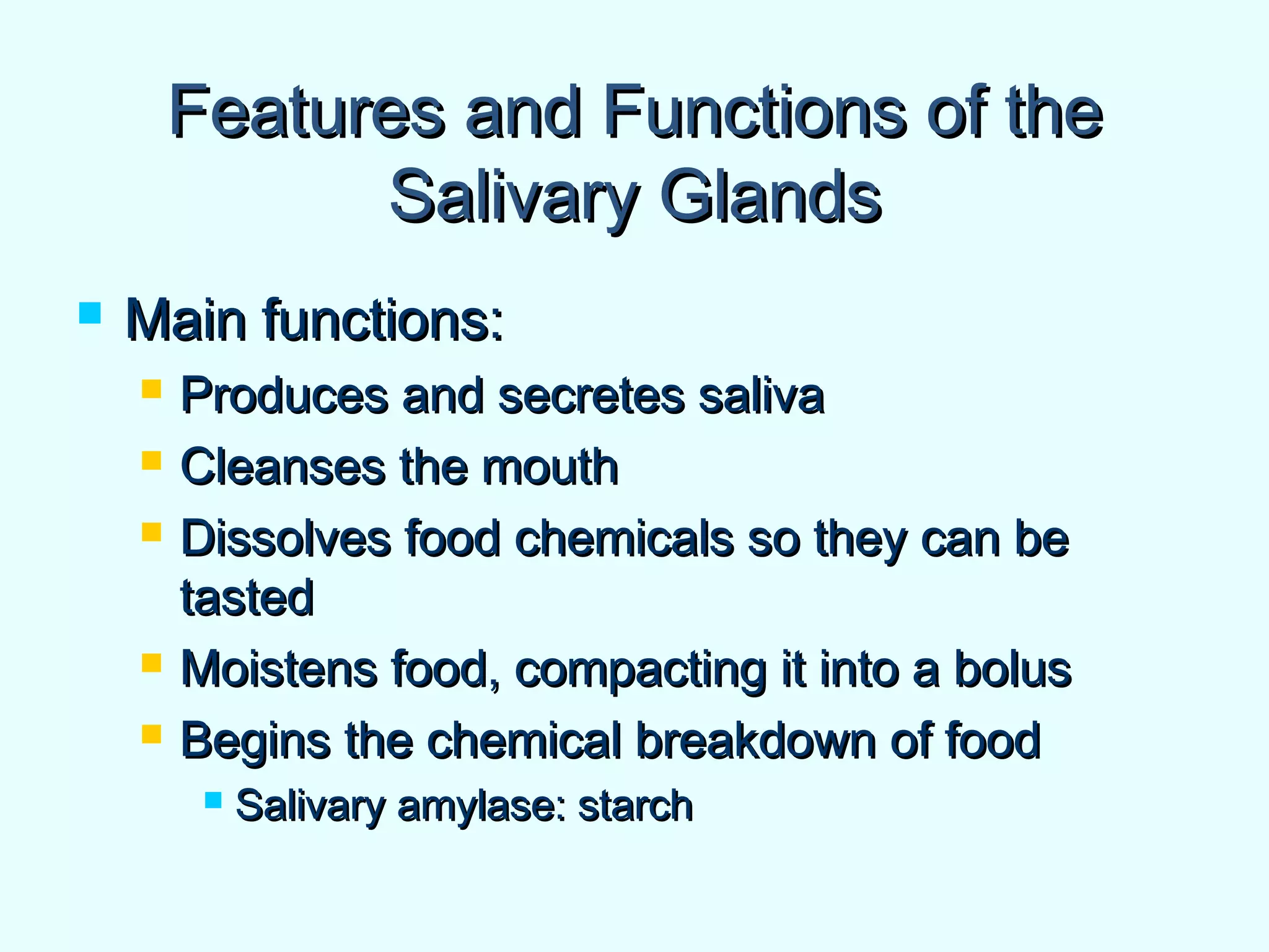 Features and Functions of theFeatures and Functions of the
Salivary GlandsSalivary Glands
 Main functions:Main functions:
 Produces and secretes salivaProduces and secretes saliva
 Cleanses the mouthCleanses the mouth
 Dissolves food chemicals so they can beDissolves food chemicals so they can be
tastedtasted
 Moistens food, compacting it into a bolusMoistens food, compacting it into a bolus
 Begins the chemical breakdown of foodBegins the chemical breakdown of food
 Salivary amylase: starchSalivary amylase: starch
 