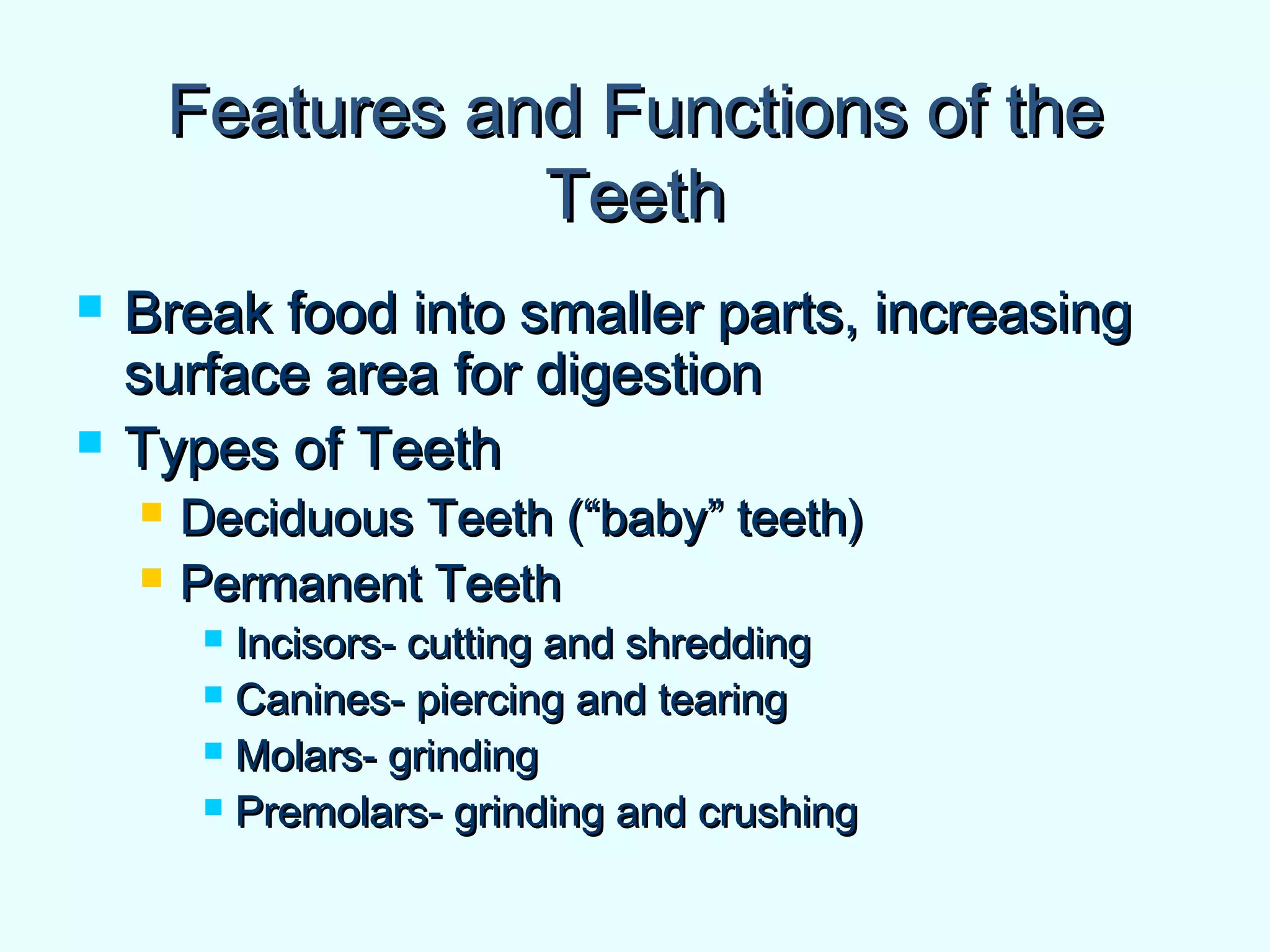 Features and Functions of theFeatures and Functions of the
TeethTeeth
 Break food into smaller parts, increasingBreak food into smaller parts, increasing
surface area for digestionsurface area for digestion
 Types of TeethTypes of Teeth
 Deciduous Teeth (“baby” teeth)Deciduous Teeth (“baby” teeth)
 Permanent TeethPermanent Teeth
 Incisors- cutting and shreddingIncisors- cutting and shredding
 Canines- piercing and tearingCanines- piercing and tearing
 Molars- grindingMolars- grinding
 Premolars- grinding and crushingPremolars- grinding and crushing
 