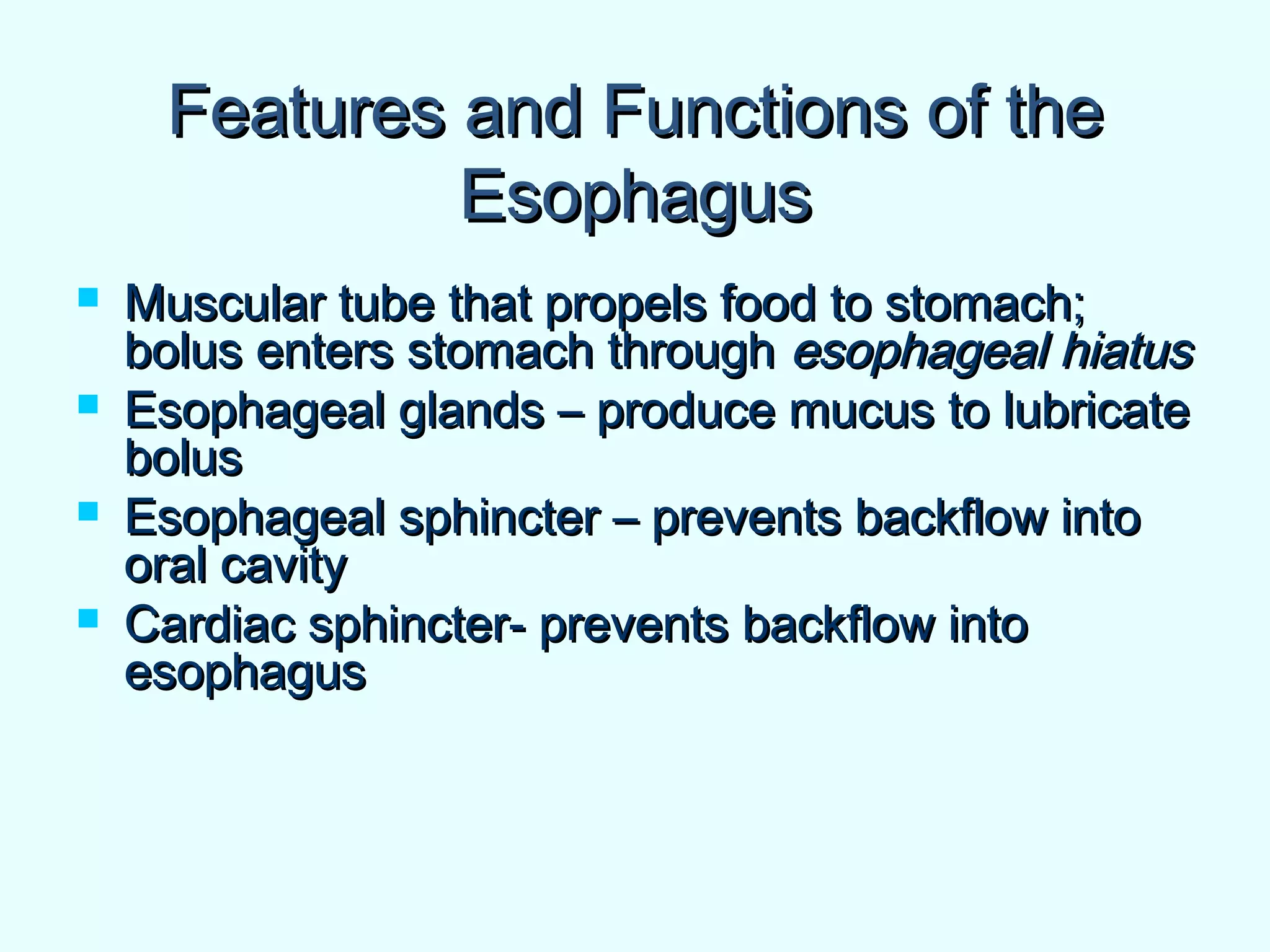 Features and Functions of theFeatures and Functions of the
EsophagusEsophagus
 Muscular tube that propels food to stomach;Muscular tube that propels food to stomach;
bolus enters stomach throughbolus enters stomach through esophageal hiatusesophageal hiatus
 Esophageal glands – produce mucus to lubricateEsophageal glands – produce mucus to lubricate
bolusbolus
 Esophageal sphincter – prevents backflow intoEsophageal sphincter – prevents backflow into
oral cavityoral cavity
 Cardiac sphincter- prevents backflow intoCardiac sphincter- prevents backflow into
esophagusesophagus
 