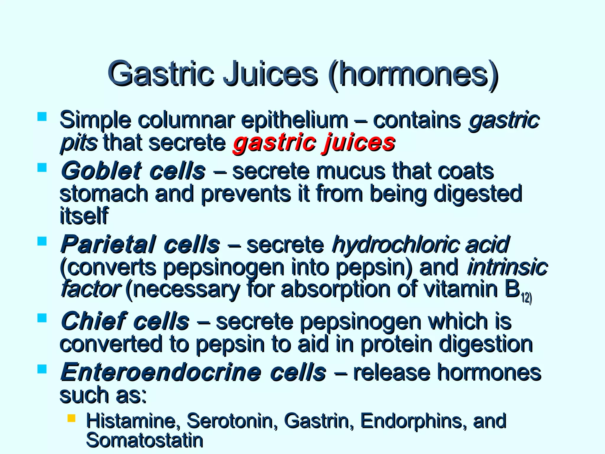 Gastric Juices (hormones)Gastric Juices (hormones)
 Simple columnar epithelium – containsSimple columnar epithelium – contains gastricgastric
pitspits that secretethat secrete gastric juicesgastric juices
 Goblet cellsGoblet cells – secrete mucus that coats– secrete mucus that coats
stomach and prevents it from being digestedstomach and prevents it from being digested
itselfitself
 Parietal cellsParietal cells – secrete– secrete hydrochloric acidhydrochloric acid
(converts pepsinogen into pepsin) and(converts pepsinogen into pepsin) and intrinsicintrinsic
factorfactor (necessary for absorption of vitamin B(necessary for absorption of vitamin B12)12)
 Chief cellsChief cells – secrete pepsinogen which is– secrete pepsinogen which is
converted to pepsin to aid in protein digestionconverted to pepsin to aid in protein digestion
 Enteroendocrine cellsEnteroendocrine cells – release hormones– release hormones
such as:such as:
 Histamine, Serotonin, Gastrin, Endorphins, andHistamine, Serotonin, Gastrin, Endorphins, and
SomatostatinSomatostatin
 