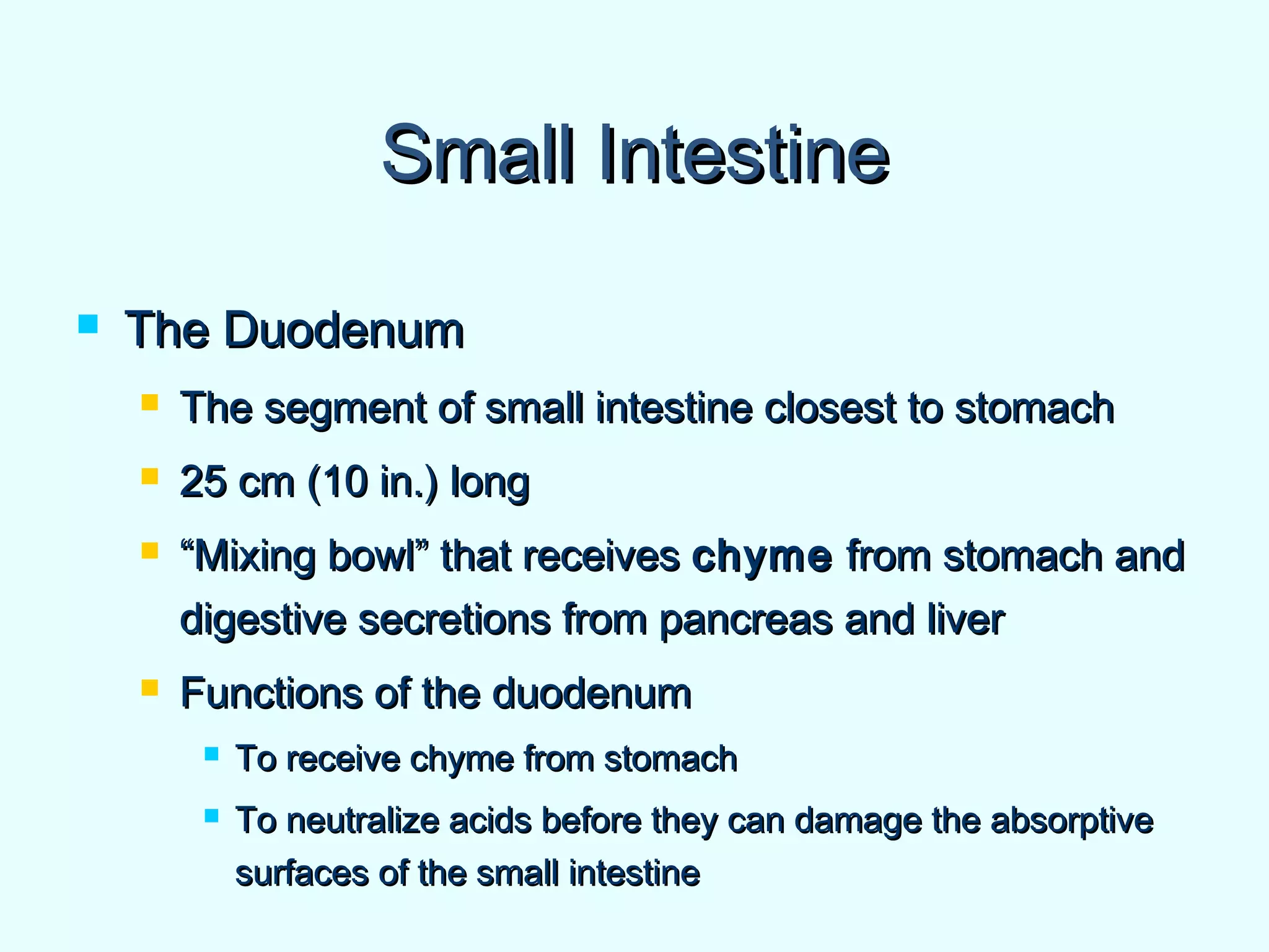 Small IntestineSmall Intestine
 The DuodenumThe Duodenum
 The segment of small intestine closest to stomachThe segment of small intestine closest to stomach
 25 cm (10 in.) long25 cm (10 in.) long
 ““Mixing bowl” that receivesMixing bowl” that receives chymechyme from stomach andfrom stomach and
digestive secretions from pancreas and liverdigestive secretions from pancreas and liver
 Functions of the duodenumFunctions of the duodenum
 To receive chyme from stomachTo receive chyme from stomach
 To neutralize acids before they can damage the absorptiveTo neutralize acids before they can damage the absorptive
surfaces of the small intestinesurfaces of the small intestine
 