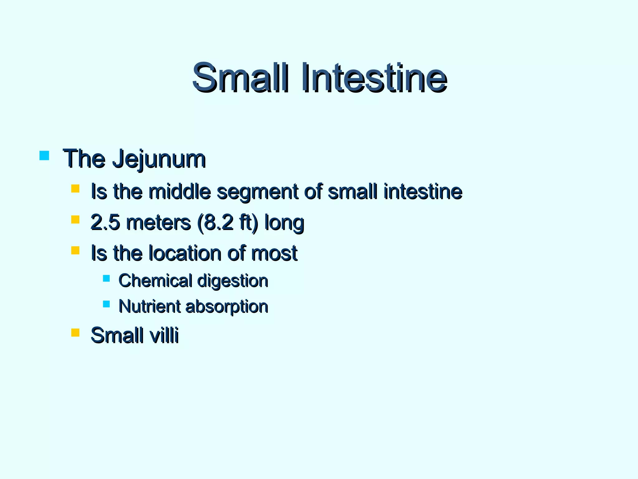 Small IntestineSmall Intestine
 The JejunumThe Jejunum
 Is the middle segment of small intestineIs the middle segment of small intestine
 2.5 meters (8.2 ft) long2.5 meters (8.2 ft) long
 Is the location of mostIs the location of most
 Chemical digestionChemical digestion
 Nutrient absorptionNutrient absorption
 Small villiSmall villi
 