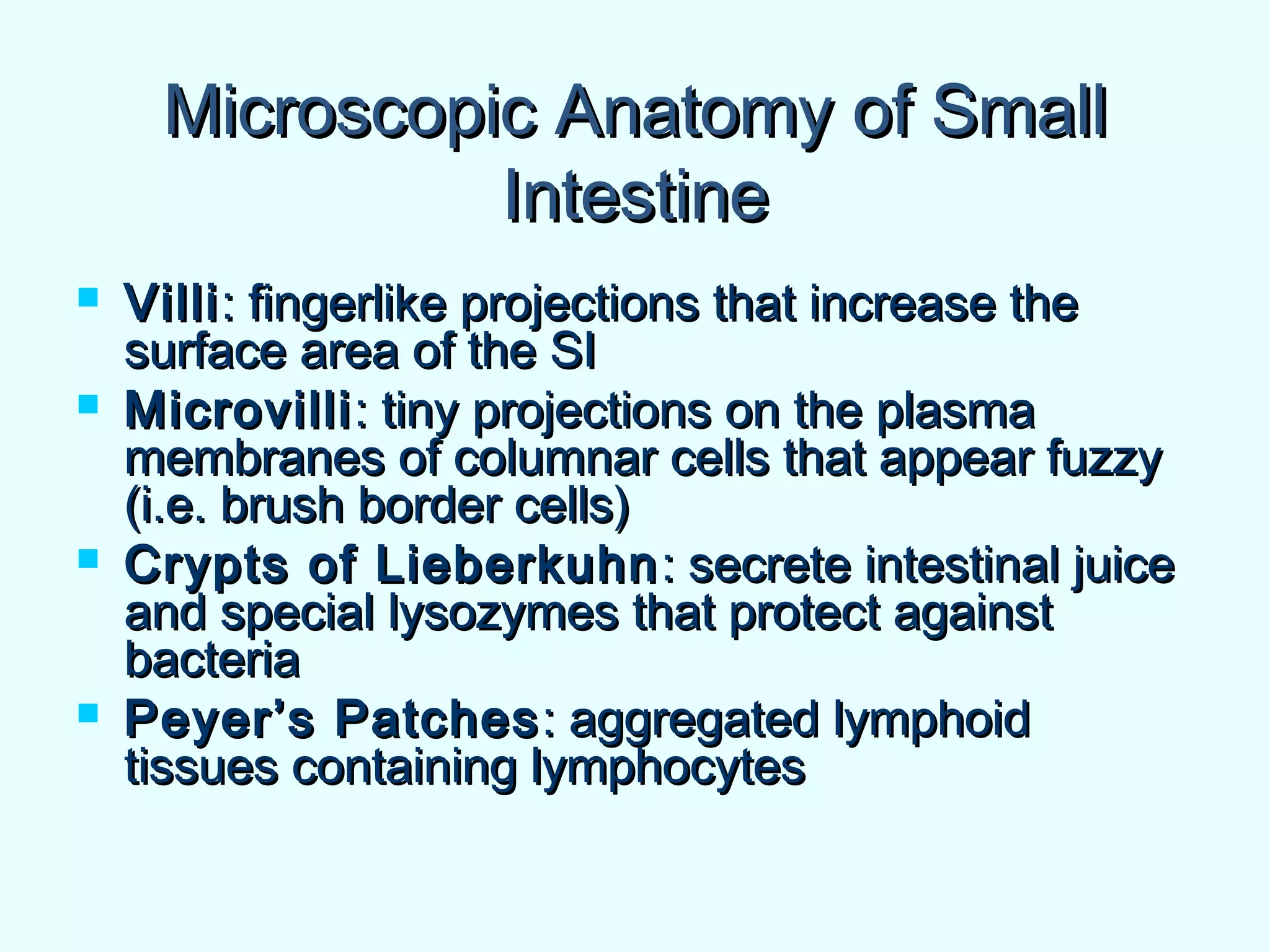 Microscopic Anatomy of SmallMicroscopic Anatomy of Small
IntestineIntestine
 VilliVilli: fingerlike projections that increase the: fingerlike projections that increase the
surface area of the SIsurface area of the SI
 MicrovilliMicrovilli: tiny projections on the plasma: tiny projections on the plasma
membranes of columnar cells that appear fuzzymembranes of columnar cells that appear fuzzy
(i.e. brush border cells)(i.e. brush border cells)
 Crypts of LieberkuhnCrypts of Lieberkuhn : secrete intestinal juice: secrete intestinal juice
and special lysozymes that protect againstand special lysozymes that protect against
bacteriabacteria
 Peyer’s PatchesPeyer’s Patches: aggregated lymphoid: aggregated lymphoid
tissues containing lymphocytestissues containing lymphocytes
 