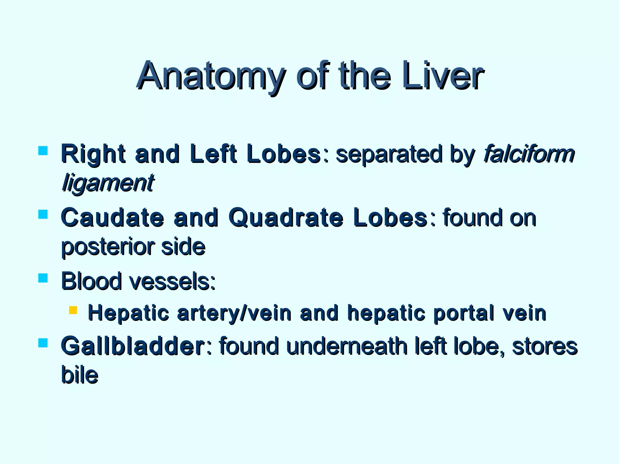 Anatomy of the LiverAnatomy of the Liver
 Right and Left LobesRight and Left Lobes : separated by: separated by falciformfalciform
ligamentligament
 Caudate and Quadrate LobesCaudate and Quadrate Lobes : found on: found on
posterior sideposterior side
 Blood vessels:Blood vessels:
 Hepatic artery/vein and hepatic portal veinHepatic artery/vein and hepatic portal vein
 GallbladderGallbladder: found underneath left lobe, stores: found underneath left lobe, stores
bilebile
 