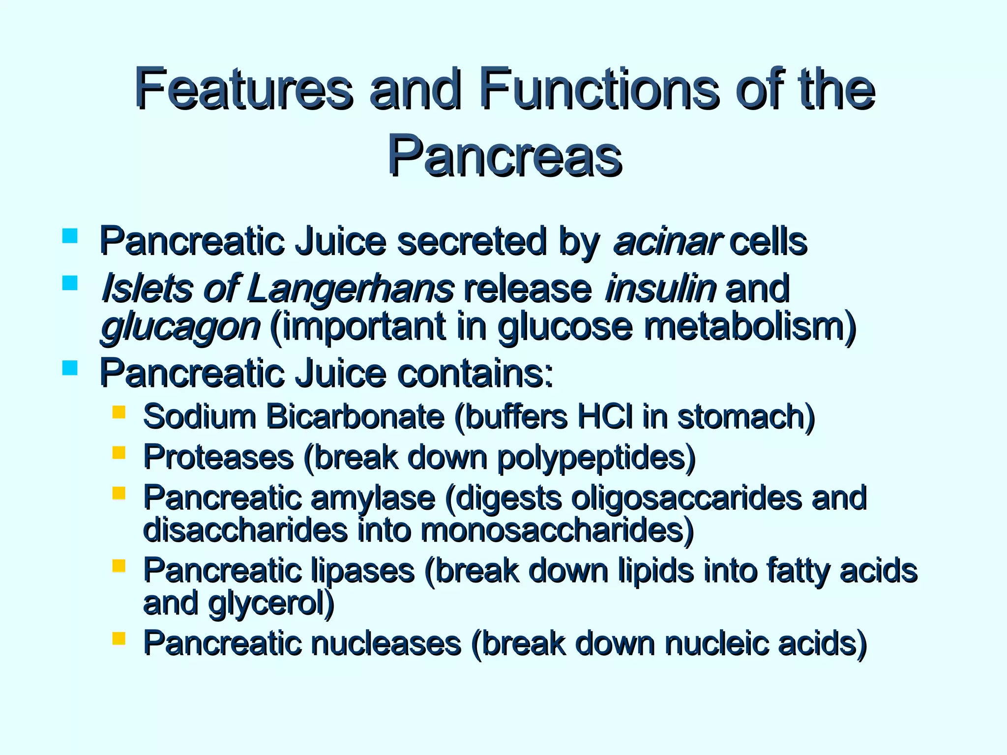 Features and Functions of theFeatures and Functions of the
PancreasPancreas
 Pancreatic Juice secreted byPancreatic Juice secreted by acinaracinar cellscells
 Islets of LangerhansIslets of Langerhans releaserelease insulininsulin andand
glucagonglucagon (important in glucose metabolism)(important in glucose metabolism)
 Pancreatic Juice contains:Pancreatic Juice contains:
 Sodium Bicarbonate (buffers HCl in stomach)Sodium Bicarbonate (buffers HCl in stomach)
 Proteases (break down polypeptides)Proteases (break down polypeptides)
 Pancreatic amylase (digests oligosaccarides andPancreatic amylase (digests oligosaccarides and
disaccharides into monosaccharides)disaccharides into monosaccharides)
 Pancreatic lipases (break down lipids into fatty acidsPancreatic lipases (break down lipids into fatty acids
and glycerol)and glycerol)
 Pancreatic nucleases (break down nucleic acids)Pancreatic nucleases (break down nucleic acids)
 