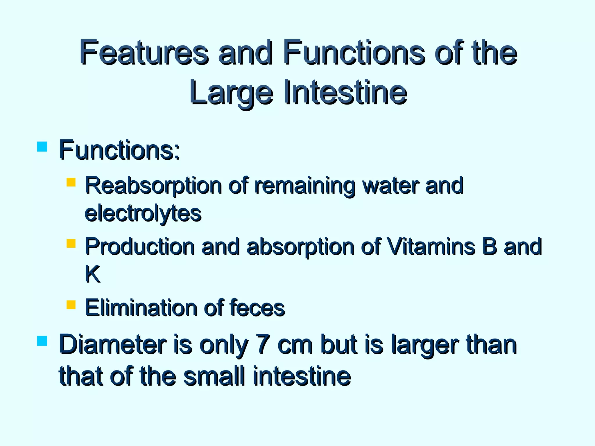 Features and Functions of theFeatures and Functions of the
Large IntestineLarge Intestine
 Functions:Functions:
 Reabsorption of remaining water andReabsorption of remaining water and
electrolyteselectrolytes
 Production and absorption of Vitamins B andProduction and absorption of Vitamins B and
KK
 Elimination of fecesElimination of feces
 Diameter is only 7 cm but is larger thanDiameter is only 7 cm but is larger than
that of the small intestinethat of the small intestine
 