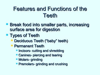 Features and Functions of theFeatures and Functions of the
TeethTeeth
 Break food into smaller parts, increasingBreak food into smaller parts, increasing
surface area for digestionsurface area for digestion
 Types of TeethTypes of Teeth
 Deciduous Teeth (“baby” teeth)Deciduous Teeth (“baby” teeth)
 Permanent TeethPermanent Teeth
 Incisors- cutting and shreddingIncisors- cutting and shredding
 Canines- piercing and tearingCanines- piercing and tearing
 Molars- grindingMolars- grinding
 Premolars- grinding and crushingPremolars- grinding and crushing
 