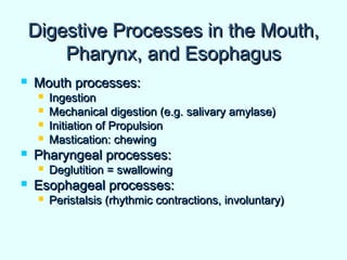Digestive Processes in the Mouth,Digestive Processes in the Mouth,
Pharynx, and EsophagusPharynx, and Esophagus
 Mouth processes:Mouth processes:
 IngestionIngestion
 Mechanical digestion (e.g. salivary amylase)Mechanical digestion (e.g. salivary amylase)
 Initiation of PropulsionInitiation of Propulsion
 Mastication: chewingMastication: chewing
 Pharyngeal processes:Pharyngeal processes:
 Deglutition = swallowingDeglutition = swallowing
 Esophageal processes:Esophageal processes:
 Peristalsis (rhythmic contractions, involuntary)Peristalsis (rhythmic contractions, involuntary)
 