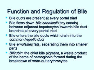 Function and Regulation of BileFunction and Regulation of Bile
 Bile ducts are present at every portal triadBile ducts are present at every portal triad
 Bile flows downBile flows down bile canaliculibile canaliculi (tiny canals)(tiny canals)
between adjacent hepatocytes towards bile ductbetween adjacent hepatocytes towards bile duct
branches at every portal triadbranches at every portal triad
 Bile enters the bile ducts which drain into theBile enters the bile ducts which drain into the
common hepatic ductcommon hepatic duct
 BileBile emulsifiesemulsifies fats, separating them into smallerfats, separating them into smaller
partsparts
 BilirubinBilirubin: the chief bile pigment, a waste product: the chief bile pigment, a waste product
of the heme of hemoglobin formed during theof the heme of hemoglobin formed during the
breakdown of worn-out erythrocytesbreakdown of worn-out erythrocytes
 