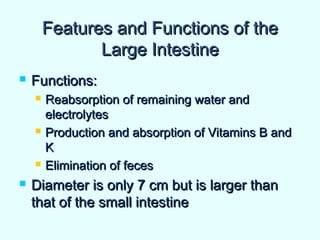 Features and Functions of theFeatures and Functions of the
Large IntestineLarge Intestine
 Functions:Functions:
 Reabsorption of remaining water andReabsorption of remaining water and
electrolyteselectrolytes
 Production and absorption of Vitamins B andProduction and absorption of Vitamins B and
KK
 Elimination of fecesElimination of feces
 Diameter is only 7 cm but is larger thanDiameter is only 7 cm but is larger than
that of the small intestinethat of the small intestine
 