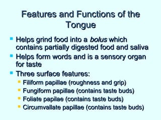 Features and Functions of theFeatures and Functions of the
TongueTongue
 Helps grind food into aHelps grind food into a bolusbolus whichwhich
contains partially digested food and salivacontains partially digested food and saliva
 Helps form words and is a sensory organHelps form words and is a sensory organ
for tastefor taste
 Three surface features:Three surface features:
 Filiform papillae (roughness and grip)Filiform papillae (roughness and grip)
 Fungiform papillae (contains taste buds)Fungiform papillae (contains taste buds)
 Foliate papilae (contains taste buds)Foliate papilae (contains taste buds)
 Circumvallate papillae (contains taste buds)Circumvallate papillae (contains taste buds)
 