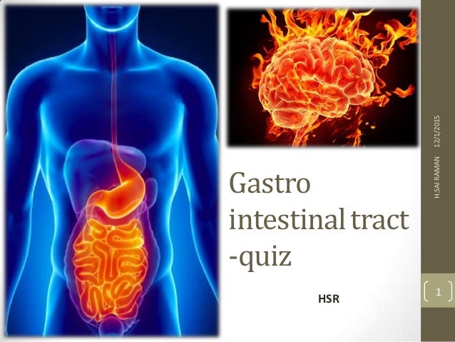 Anatomy And Physiology Quiz 1