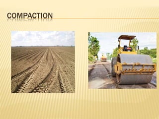 COMPACTION
 
