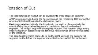 GIT embryology By Dr Parashuram Waddar Pediatrician | PPTX