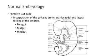 GIT embryology By Dr Parashuram Waddar Pediatrician | PPTX