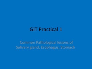 GIT Practical 1
Common Pathological lesions of
Salivary gland, Esophagus, Stomach
 