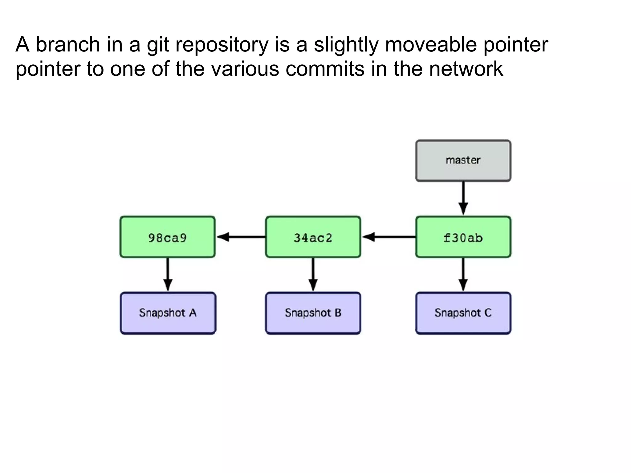 A branch in a git repository is a slightly moveable pointer
pointer to one of the various commits in the network
 