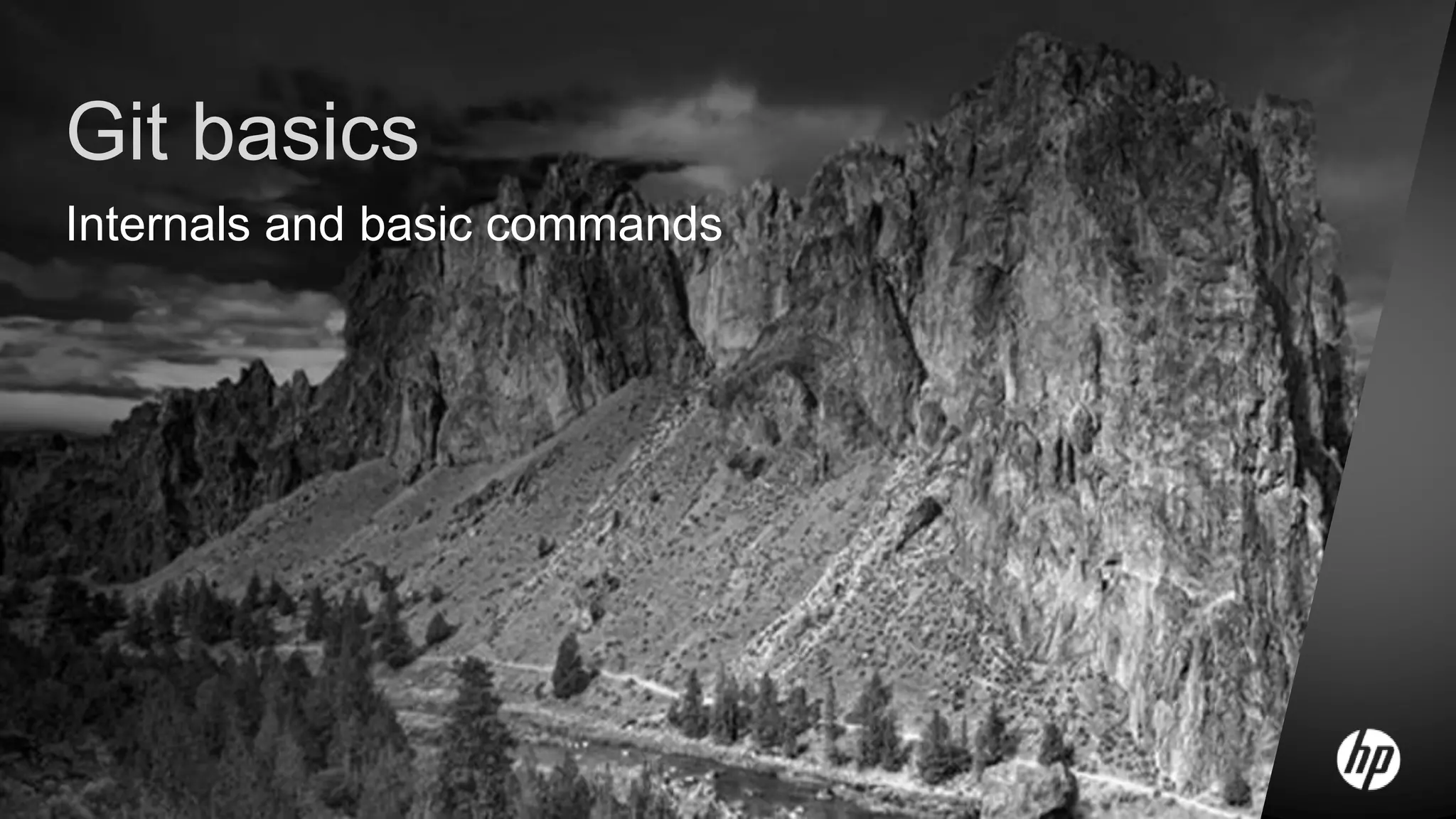 Git basics
Internals and basic commands
 