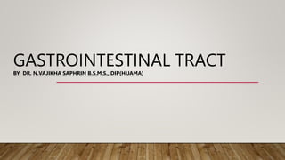 GASTROINTESTINAL TRACT
BY DR. N.VAJIKHA SAPHRIN B.S.M.S., DIP(HIJAMA)
 