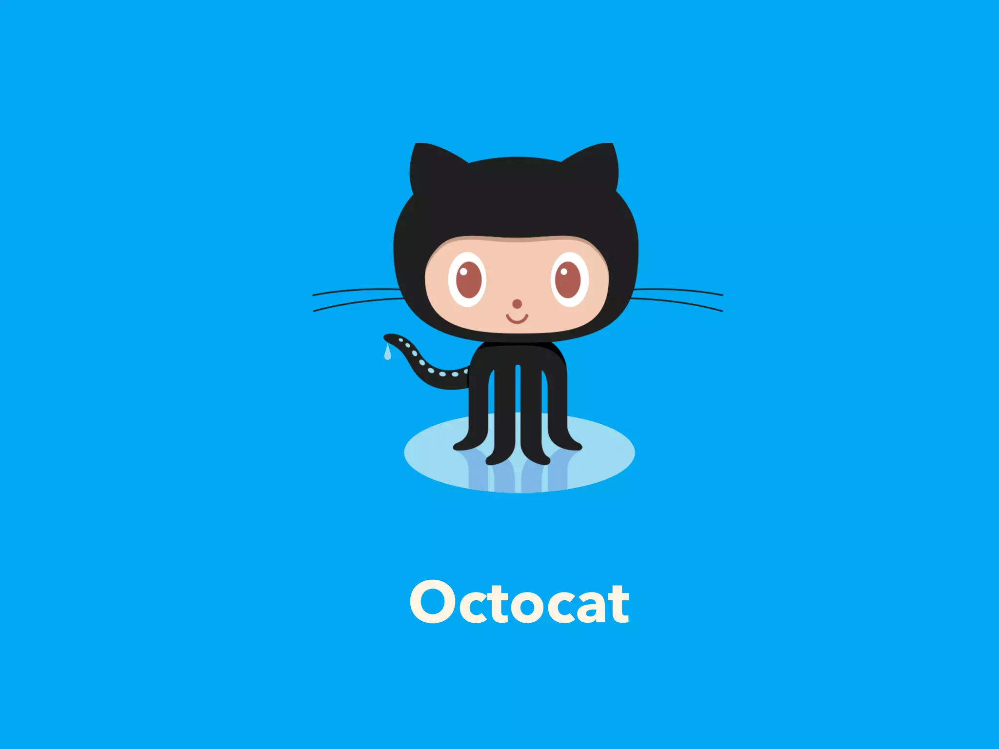 Octocat
 