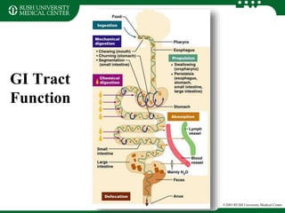 GI Tract
Function
©2003 RUSH University Medical Center
 