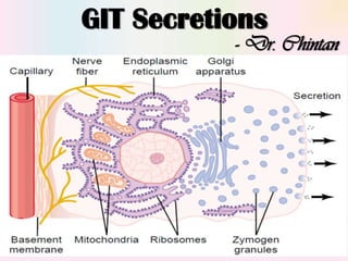 GIT Secretions
- Dr. Chintan
 