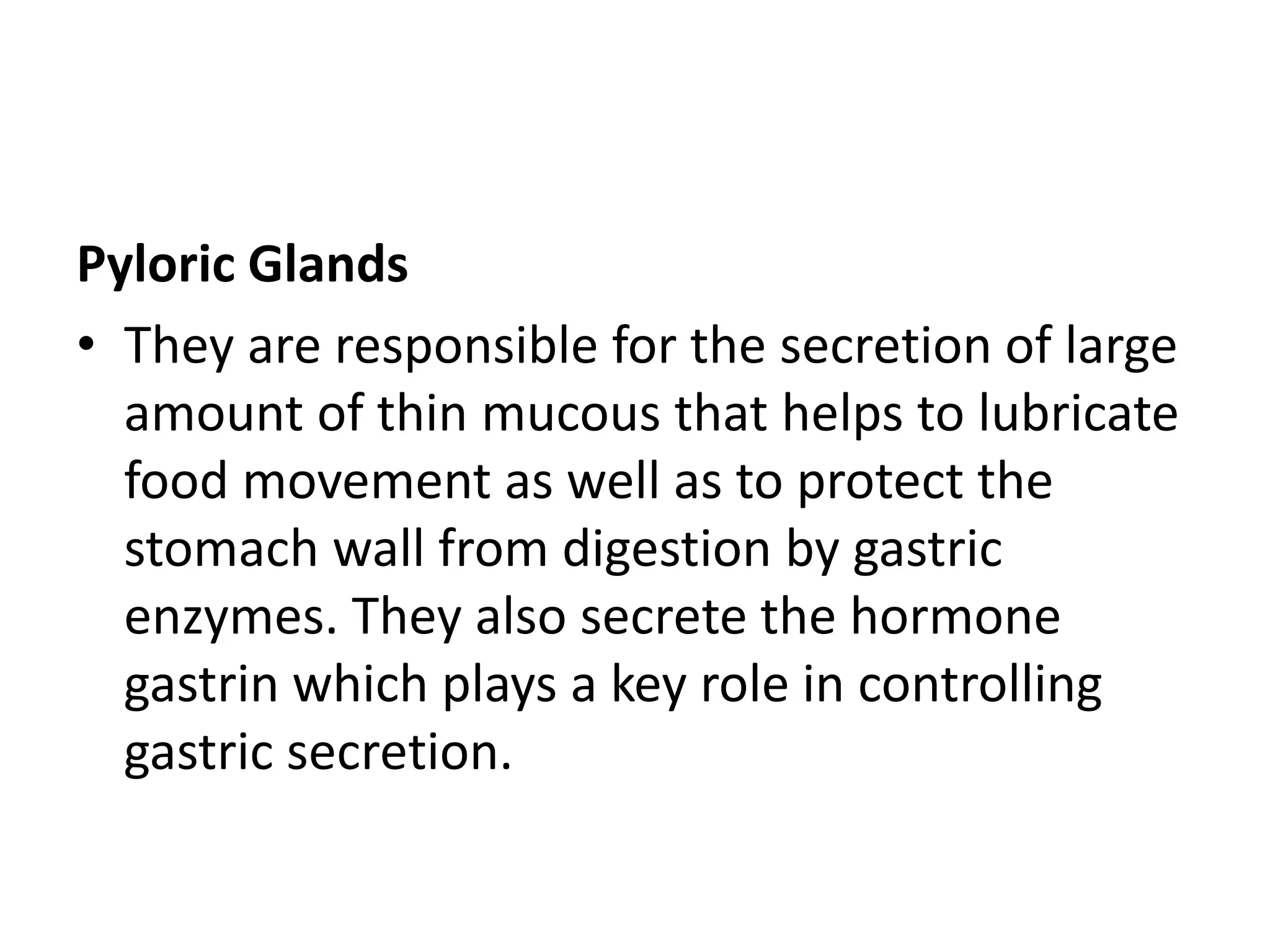 Pyloric Glands
• They are responsible for the secretion of large
amount of thin mucous that helps to lubricate
food movement as well as to protect the
stomach wall from digestion by gastric
enzymes. They also secrete the hormone
gastrin which plays a key role in controlling
gastric secretion.
 