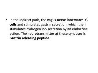 • In the indirect path, the vagus nerve innervates G
cells and stimulates gastrin secretion, which then
stimulates hydrogen ion secretion by an endocrine
action. The neurotransmitter at these synapses is
Gastrin releasing peptide.
 