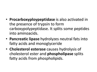 • Procarboxyploypeptidase is also activated in
the presence of trypsin to form
carboxypolypeptidase. It splits some peptides
into aminoacids.
• Pancreatic lipase hydrolyzes neutral fats into
fatty acids and monoglyceride
• Cholesterol esterase causes hydrolysis of
cholesterol ester and phospholipase splits
fatty acids from phospholipids.
 