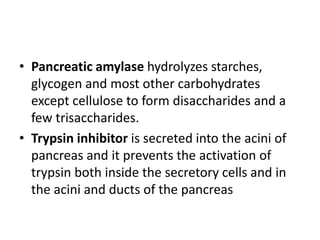 • Pancreatic amylase hydrolyzes starches,
glycogen and most other carbohydrates
except cellulose to form disaccharides and a
few trisaccharides.
• Trypsin inhibitor is secreted into the acini of
pancreas and it prevents the activation of
trypsin both inside the secretory cells and in
the acini and ducts of the pancreas
 