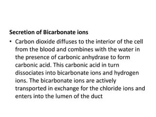 Secretion of Bicarbonate ions
• Carbon dioxide diffuses to the interior of the cell
from the blood and combines with the water in
the presence of carbonic anhydrase to form
carbonic acid. This carbonic acid in turn
dissociates into bicarbonate ions and hydrogen
ions. The bicarbonate ions are actively
transported in exchange for the chloride ions and
enters into the lumen of the duct
 