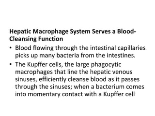 Hepatic Macrophage System Serves a Blood-
Cleansing Function
• Blood flowing through the intestinal capillaries
picks up many bacteria from the intestines.
• The Kupffer cells, the large phagocytic
macrophages that line the hepatic venous
sinuses, efficiently cleanse blood as it passes
through the sinuses; when a bacterium comes
into momentary contact with a Kupffer cell
 