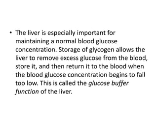• The liver is especially important for
maintaining a normal blood glucose
concentration. Storage of glycogen allows the
liver to remove excess glucose from the blood,
store it, and then return it to the blood when
the blood glucose concentration begins to fall
too low. This is called the glucose buffer
function of the liver.
 