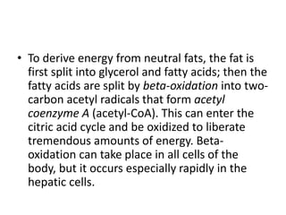 • To derive energy from neutral fats, the fat is
first split into glycerol and fatty acids; then the
fatty acids are split by beta-oxidation into two-
carbon acetyl radicals that form acetyl
coenzyme A (acetyl-CoA). This can enter the
citric acid cycle and be oxidized to liberate
tremendous amounts of energy. Beta-
oxidation can take place in all cells of the
body, but it occurs especially rapidly in the
hepatic cells.
 
