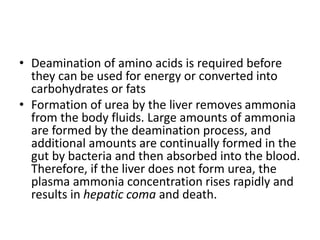 • Deamination of amino acids is required before
they can be used for energy or converted into
carbohydrates or fats
• Formation of urea by the liver removes ammonia
from the body fluids. Large amounts of ammonia
are formed by the deamination process, and
additional amounts are continually formed in the
gut by bacteria and then absorbed into the blood.
Therefore, if the liver does not form urea, the
plasma ammonia concentration rises rapidly and
results in hepatic coma and death.
 