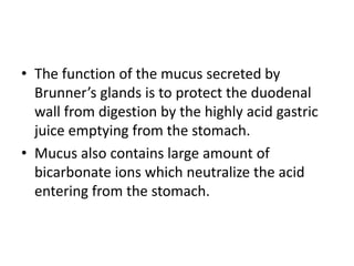 • The function of the mucus secreted by
Brunner’s glands is to protect the duodenal
wall from digestion by the highly acid gastric
juice emptying from the stomach.
• Mucus also contains large amount of
bicarbonate ions which neutralize the acid
entering from the stomach.
 