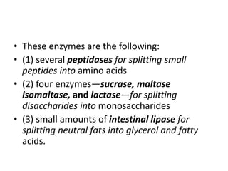 • These enzymes are the following:
• (1) several peptidases for splitting small
peptides into amino acids
• (2) four enzymes—sucrase, maltase
isomaltase, and lactase—for splitting
disaccharides into monosaccharides
• (3) small amounts of intestinal lipase for
splitting neutral fats into glycerol and fatty
acids.
 
