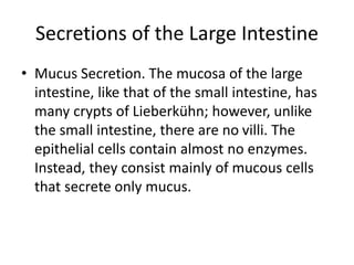 Secretions of the Large Intestine
• Mucus Secretion. The mucosa of the large
intestine, like that of the small intestine, has
many crypts of Lieberkühn; however, unlike
the small intestine, there are no villi. The
epithelial cells contain almost no enzymes.
Instead, they consist mainly of mucous cells
that secrete only mucus.
 