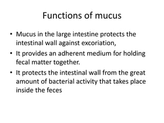 Functions of mucus
• Mucus in the large intestine protects the
intestinal wall against excoriation,
• It provides an adherent medium for holding
fecal matter together.
• It protects the intestinal wall from the great
amount of bacterial activity that takes place
inside the feces
 