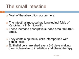 The small intestine
3/27/2023
12
 Most of the absorption occurs here.
 The intestinal mucosa has longitudinal folds of
Kerckring, villi & microvilli.
 These increase absorptive surface area 600-1000
times.
 They contain epithelial cells interspersed with
goblet cells.
 Epithelial cells are shed every 3-6 days making
them vulnerable to irradiation and chemotherapy.
 