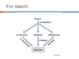 For starch
3/27/2023
14
 