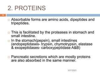 2. PROTEINS
3/27/2023
19
 Absorbable forms are amino acids, dipeptides and
tripeptides.
 This is facilitated by the proteases in stomach and
small intestine.
 In the stomach(pepsin), small intestines
(endopeptidases- trypsin, chymotrypsin, elastase
& exopeptidases- carboxypeptidase A&B)
 Pancreatic secretions which are mostly proteins
are also absorbed in the same manner.
 