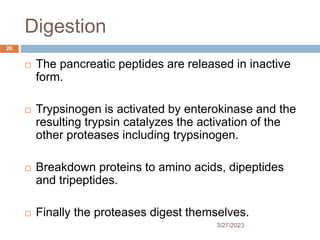Digestion
3/27/2023
20
 The pancreatic peptides are released in inactive
form.
 Trypsinogen is activated by enterokinase and the
resulting trypsin catalyzes the activation of the
other proteases including trypsinogen.
 Breakdown proteins to amino acids, dipeptides
and tripeptides.
 Finally the proteases digest themselves.
 