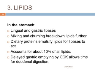 3. LIPIDS
3/27/2023
26
In the stomach:
 Lingual and gastric lipases
 Mixing and churning breakdown lipids further
 Dietary proteins emulsify lipids for lipases to
act
 Accounts for about 10% of all lipids.
 Delayed gastric emptying by CCK allows time
for duodenal digestion.
 