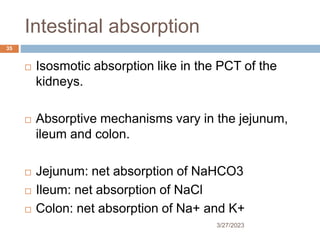 Intestinal absorption
3/27/2023
35
 Isosmotic absorption like in the PCT of the
kidneys.
 Absorptive mechanisms vary in the jejunum,
ileum and colon.
 Jejunum: net absorption of NaHCO3
 Ileum: net absorption of NaCl
 Colon: net absorption of Na+ and K+
 