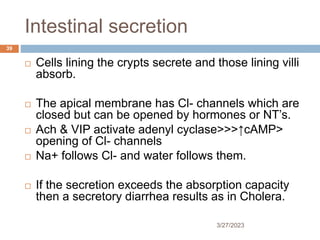 Intestinal secretion
3/27/2023
39
 Cells lining the crypts secrete and those lining villi
absorb.
 The apical membrane has Cl- channels which are
closed but can be opened by hormones or NT’s.
 Ach & VIP activate adenyl cyclase>>>↑cAMP>
opening of Cl- channels
 Na+ follows Cl- and water follows them.
 If the secretion exceeds the absorption capacity
then a secretory diarrhea results as in Cholera.
 