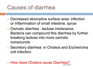 Causes of diarrhea
3/27/2023
41
 Decreased absorptive surface area: infection
or inflammation of small intestine, sprue
 Osmotic diarrhea : lactose intolerance.
Bacteria can compound this diarrhea by further
breaking lactose into more osmotic
compounds.
 Secretory diarrhea: in Cholera and Escherichia
coli infection.
 How does Cholera cause Diarrhea?
 